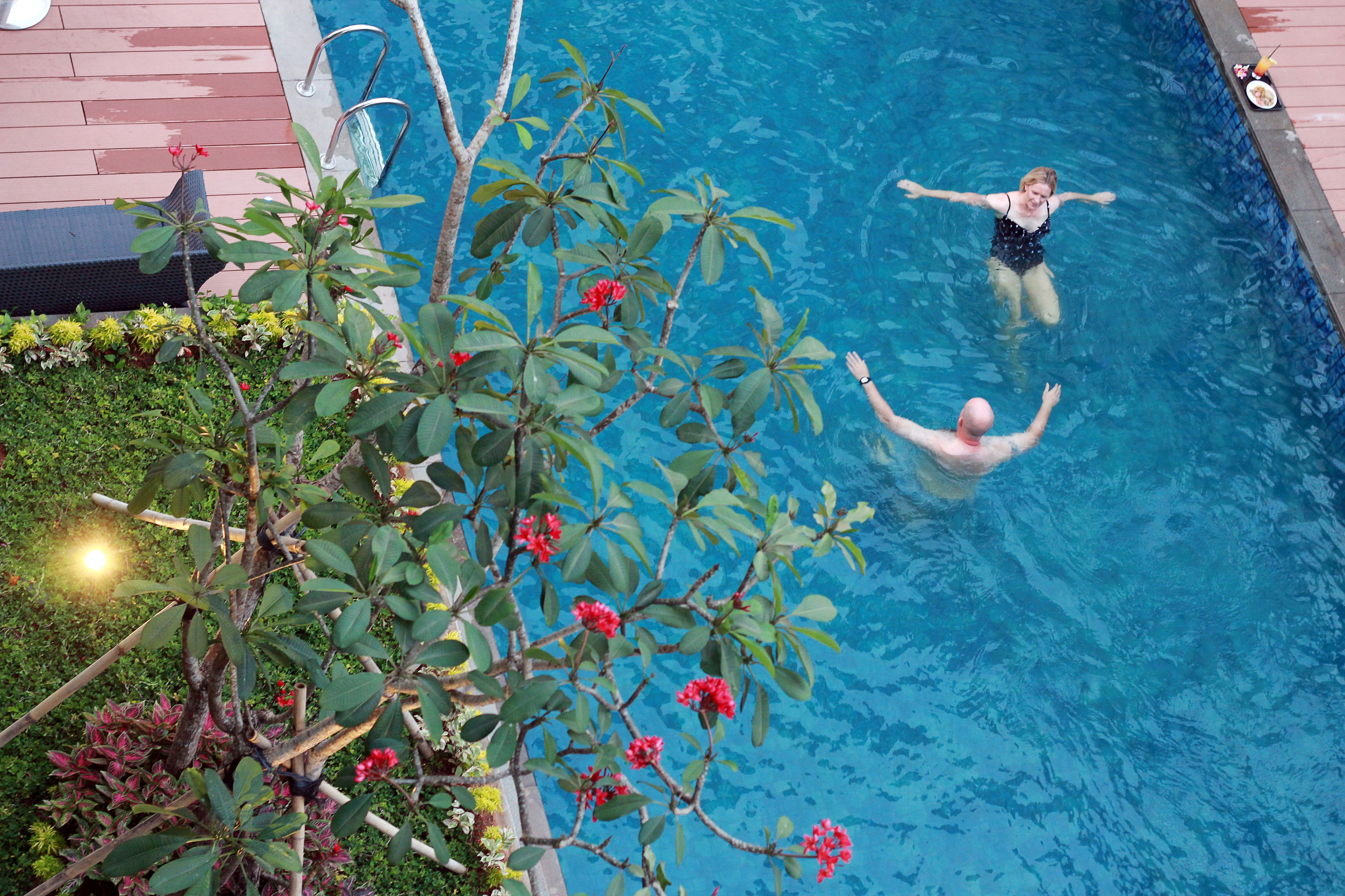 A swimming pool with a person in the water, surrounded by plants and a wooden deck.