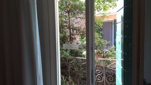 A view through a window with a metal gate and potted plants.
