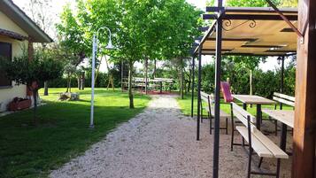 Tuin