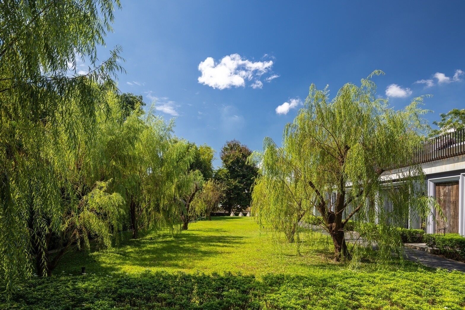 Photo - Hotel Ping Silhouette