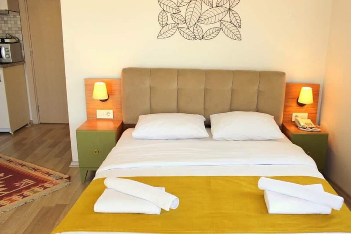 Superior-Apartment | Verdunkelungsvorhänge, schallisolierte Zimmer, kostenloses WLAN