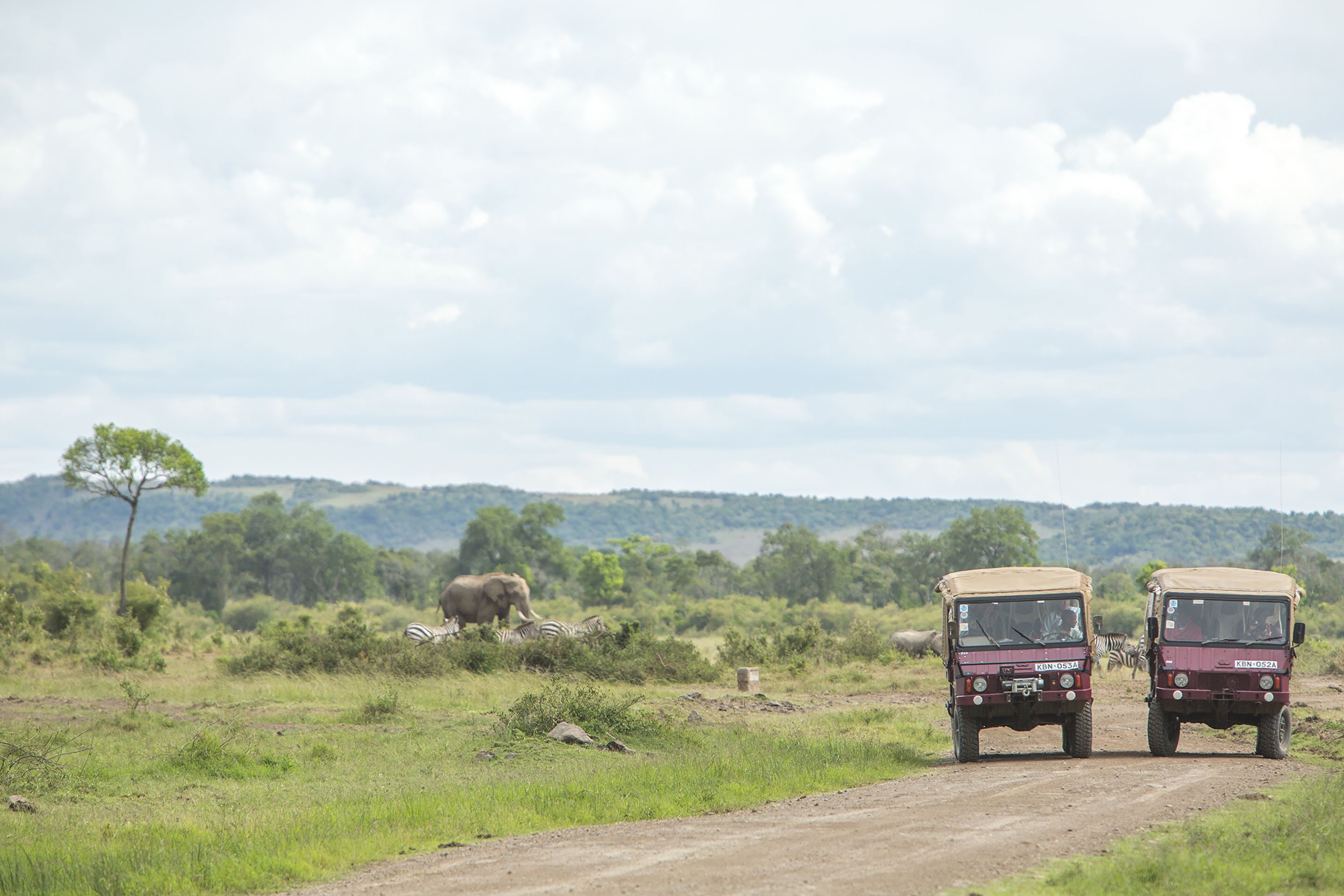Two safari vehicles on a dirt road with wildlife in the background.