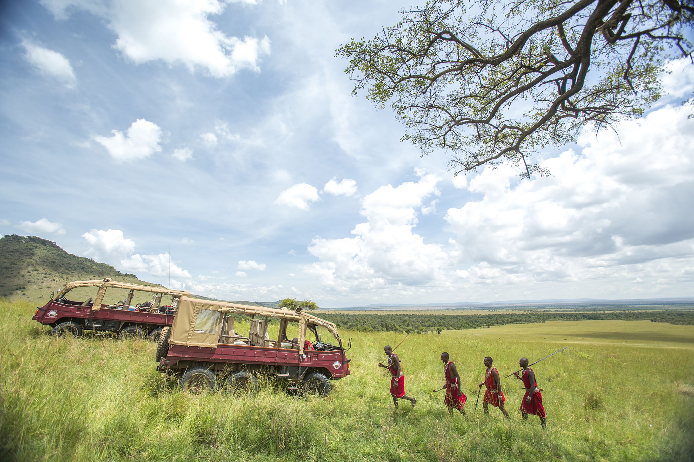 A safari vehicle and four individuals in a grassy field with a tree and a distant hill.