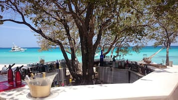 Bar (in loco)