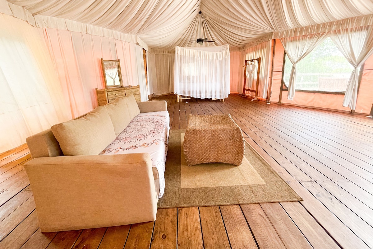 Superior Studio Suite | 1 bedroom, bed sheets