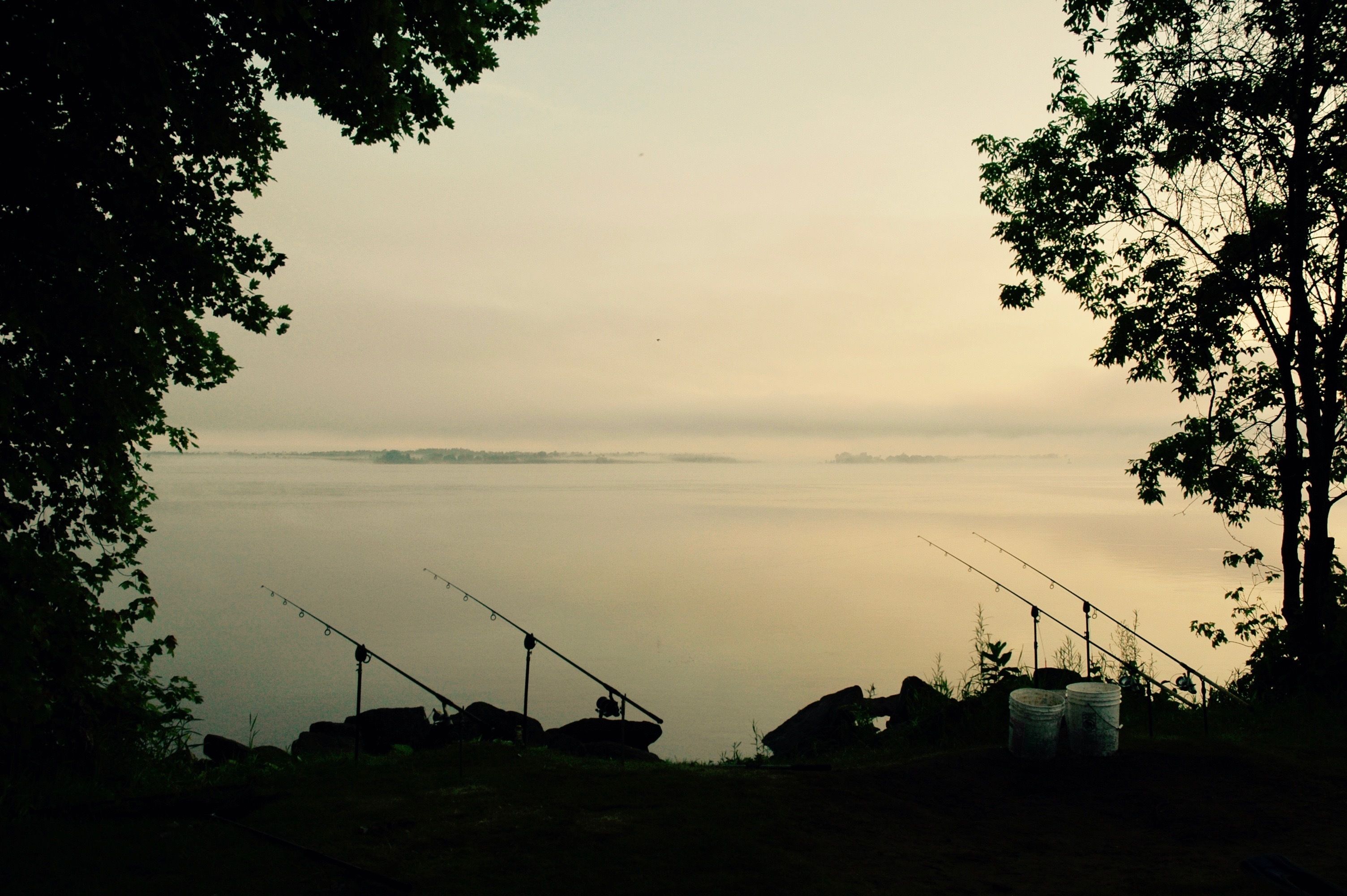 A serene lakeside view with fishing rods and containers, surrounded by trees.
