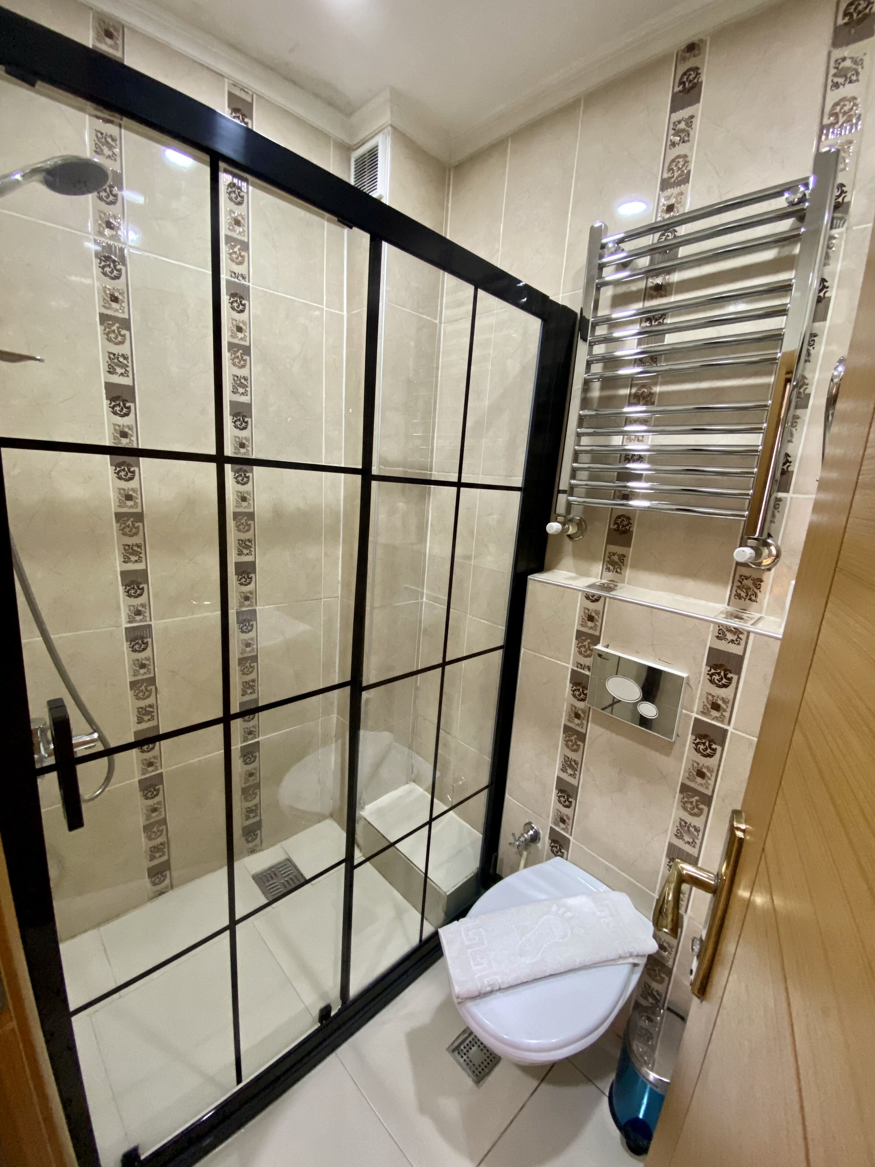 A bathroom with a glass-enclosed shower, a toilet, and a towel rack.