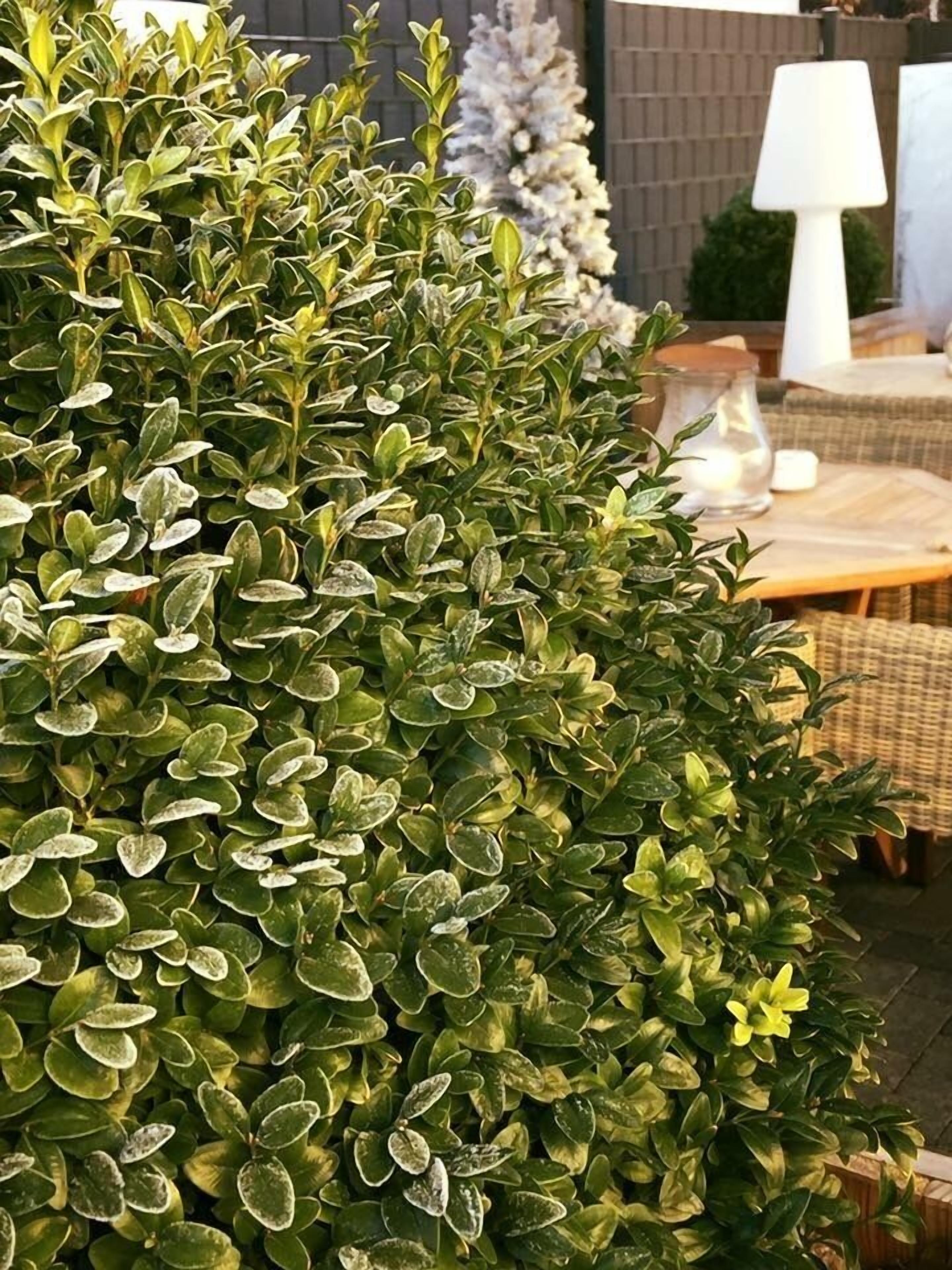 Quang cảnh nhìn từ nơi lưu trú