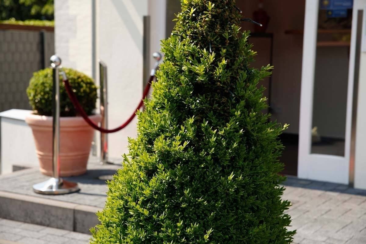 Vistas desde el alojamiento