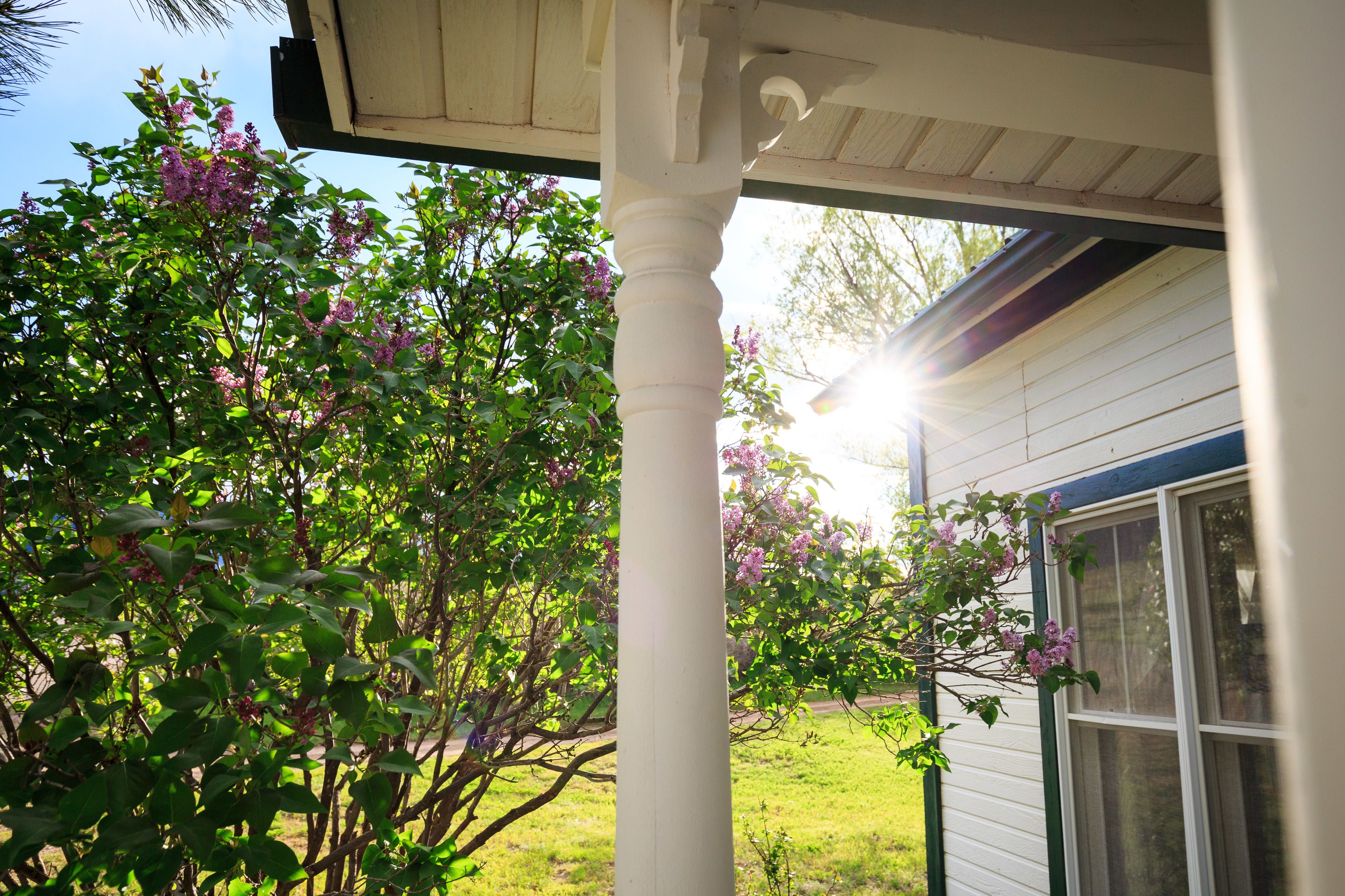A house with a porch, a window, and a tree with purple flowers.