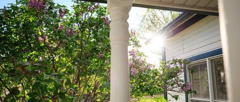 A house with a porch, a window, and a tree with purple flowers.