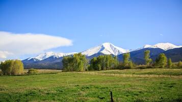 Premium Cottage, 1 Bedroom, Kitchen, Mountain View (Pet Free)