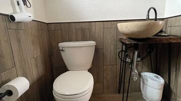 A bathroom with a toilet, a sink, and a mirror.