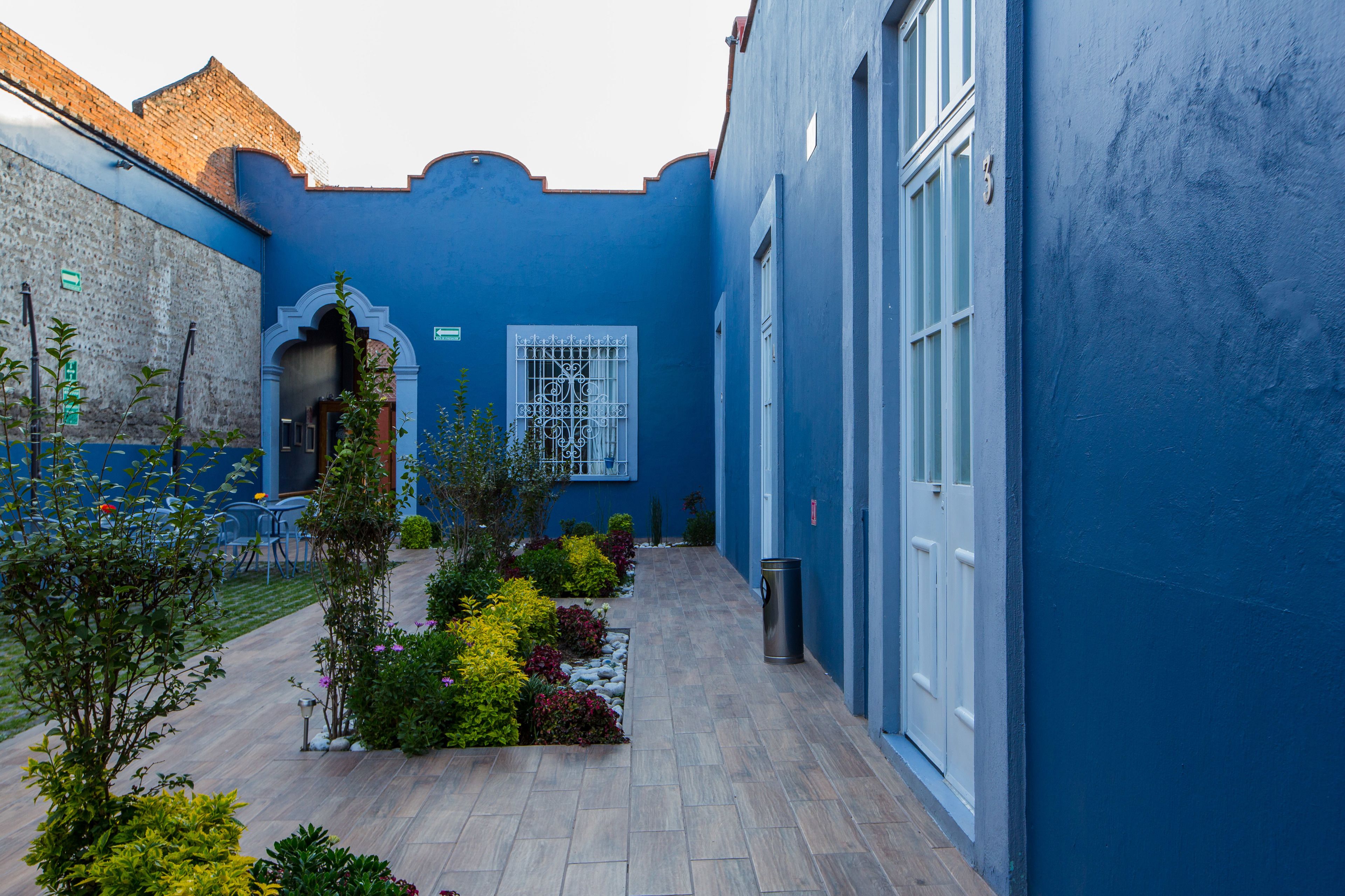 A courtyard with a blue wall, a white door, and a small garden with various plants.