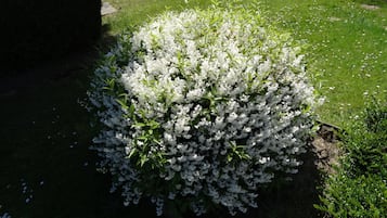 花園