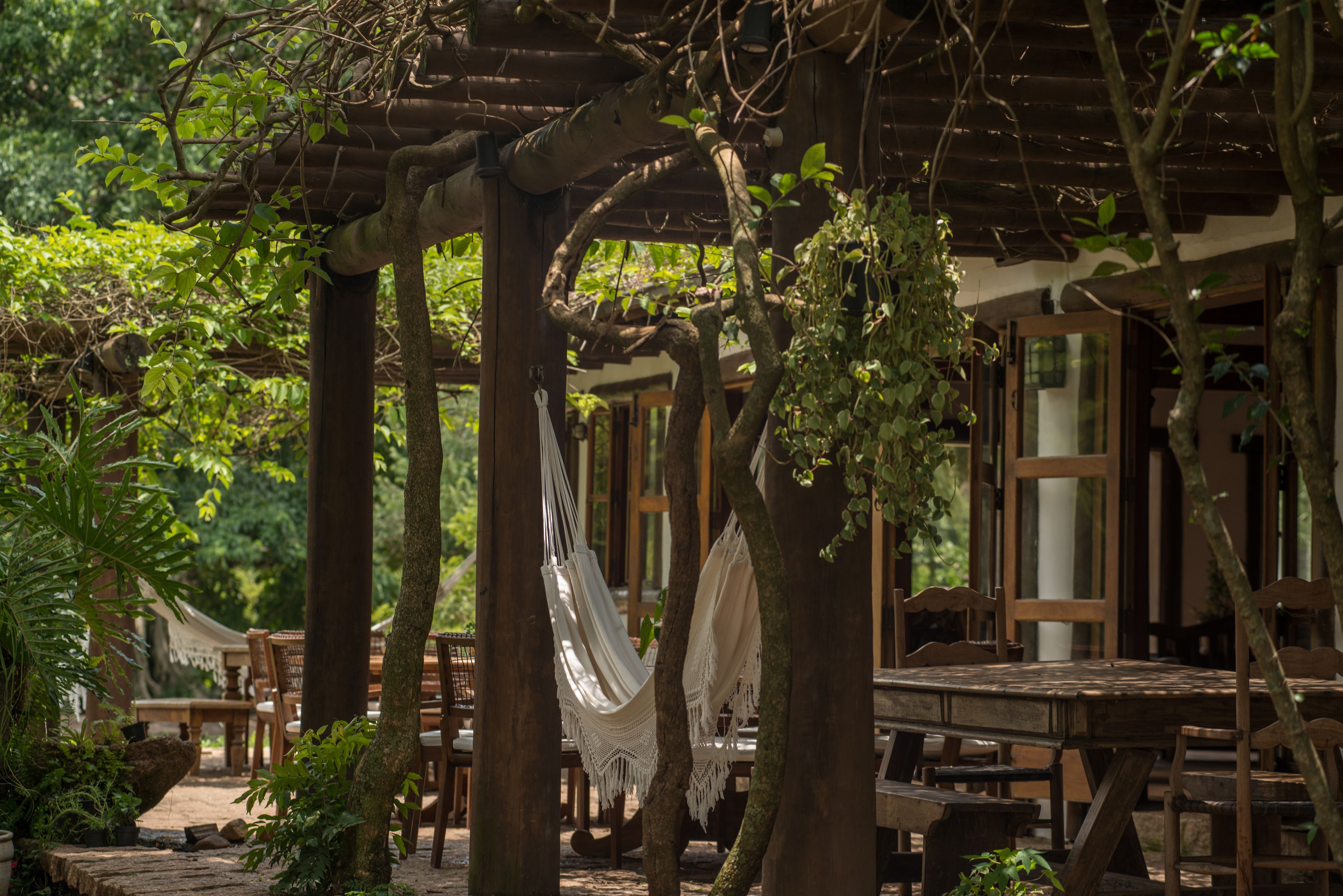 Lunch served, Brazilian cuisine
