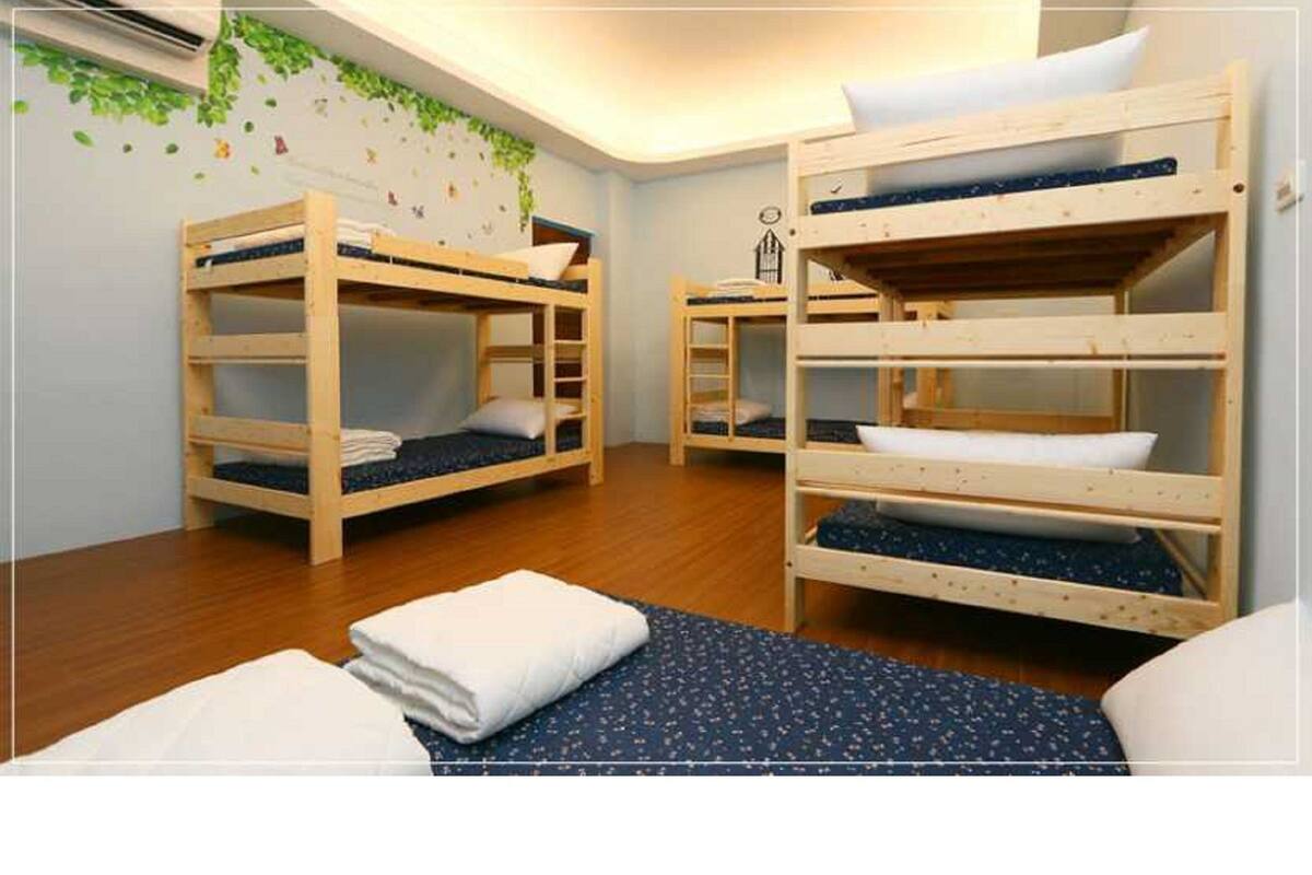 Shared Dormitory (mixed 8 bed)