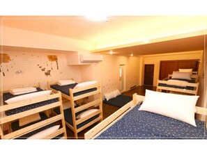 Shared Dormitory (mixed 12 bed)