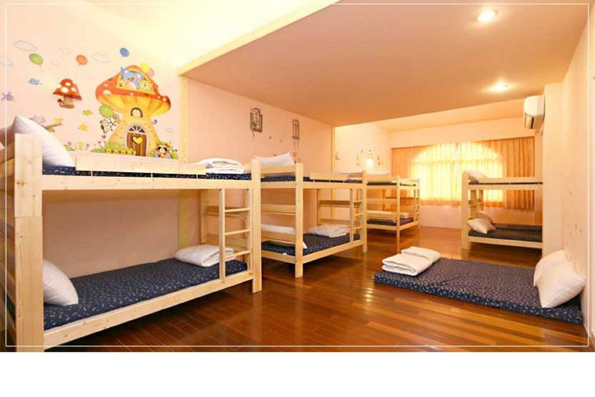 Shared Dormitory (mixed 12 bed)