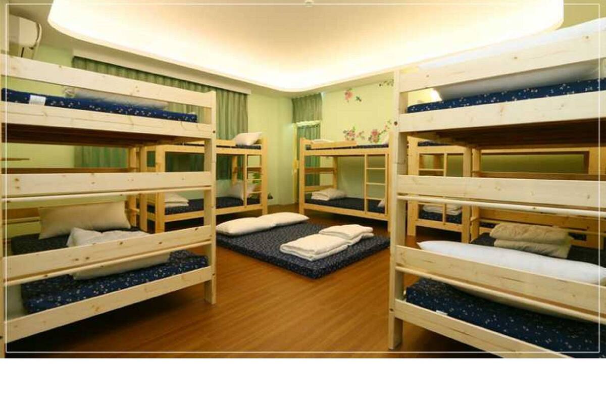 Shared Dormitory (mixed 12 bed)