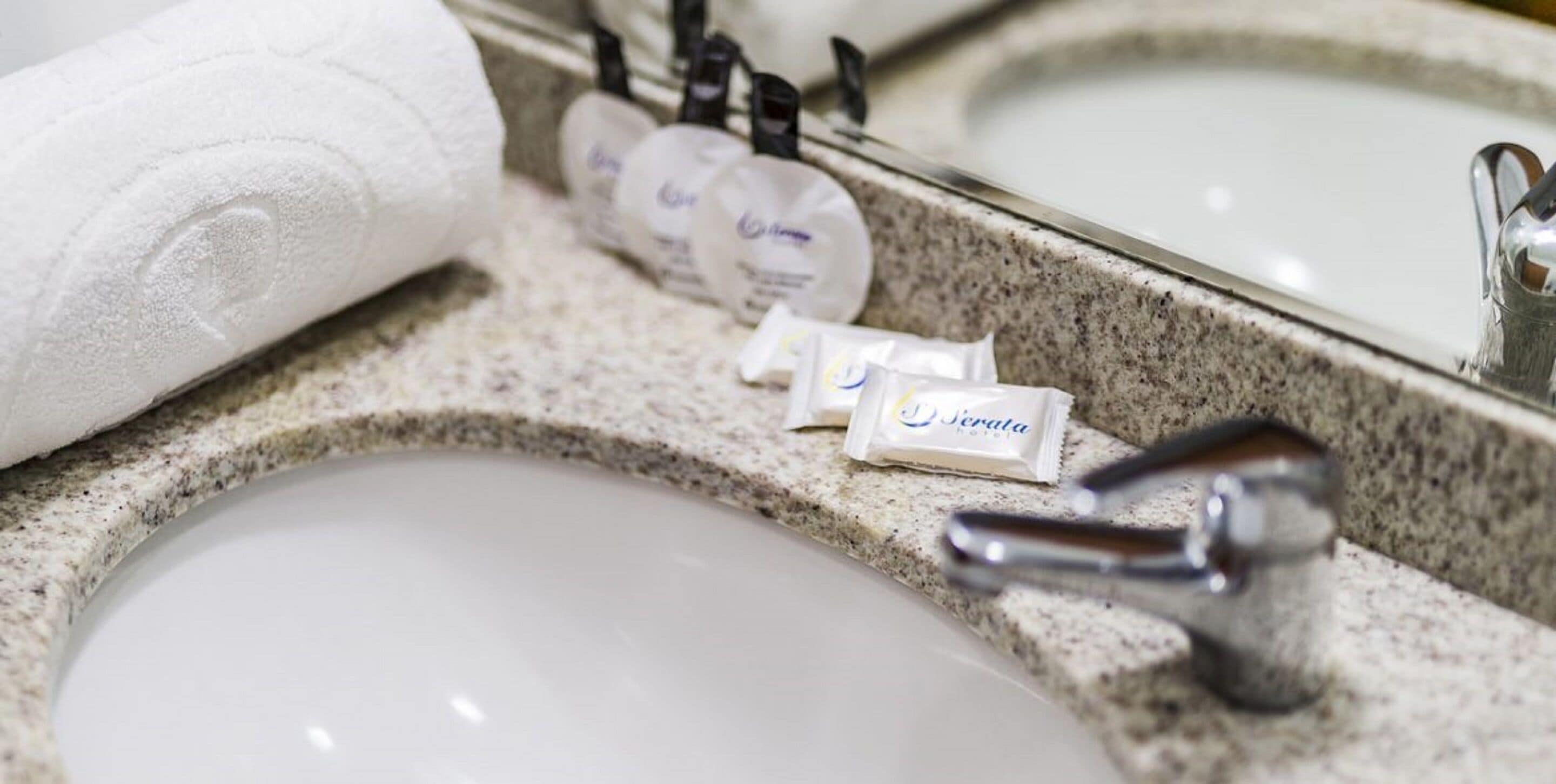 standard double room, 1 king bed | bathroom | shower, hydromassage showerhead, free toiletries, hair dryer