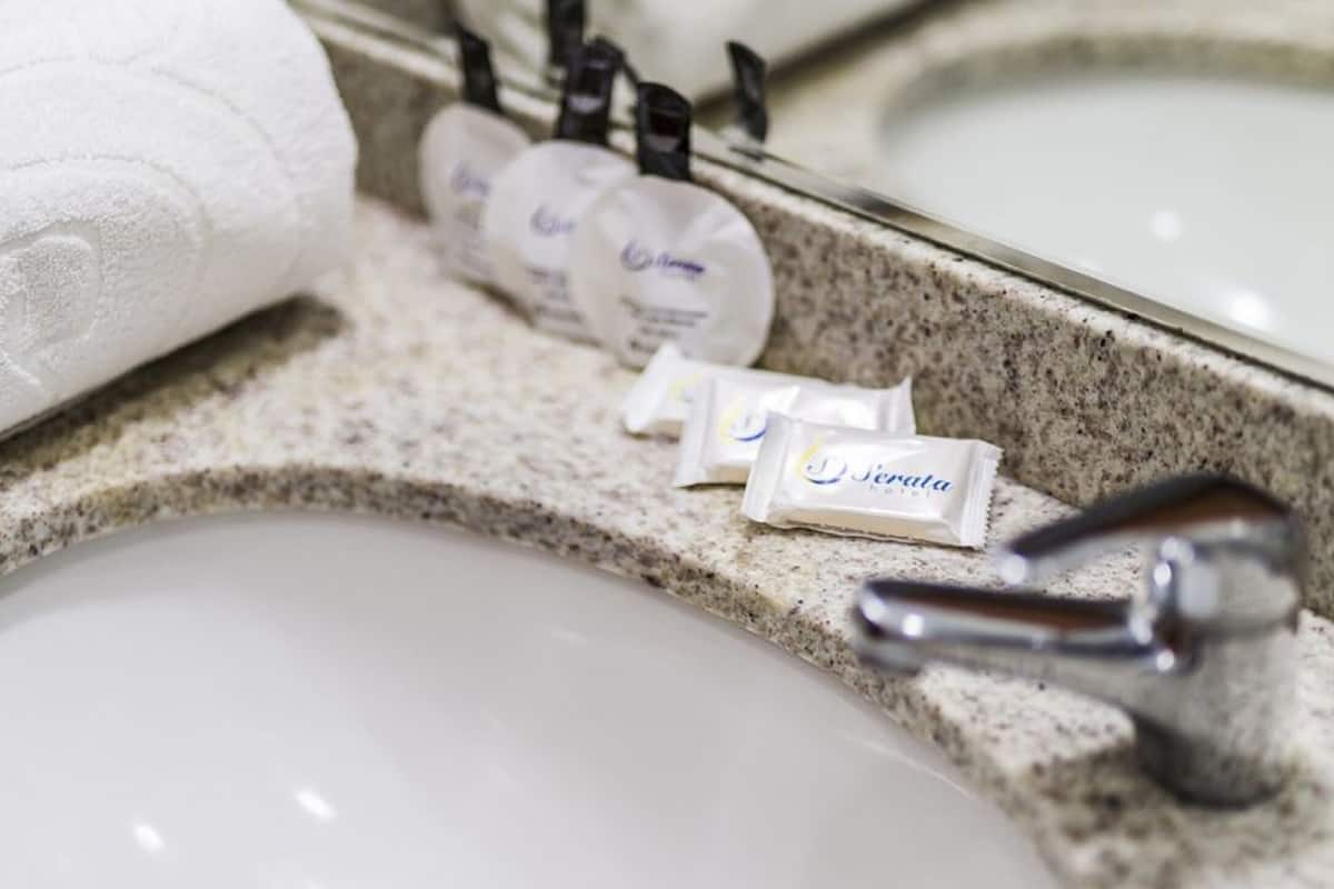 standard double room, 1 king bed | bathroom | shower, hydromassage showerhead, free toiletries, hair dryer