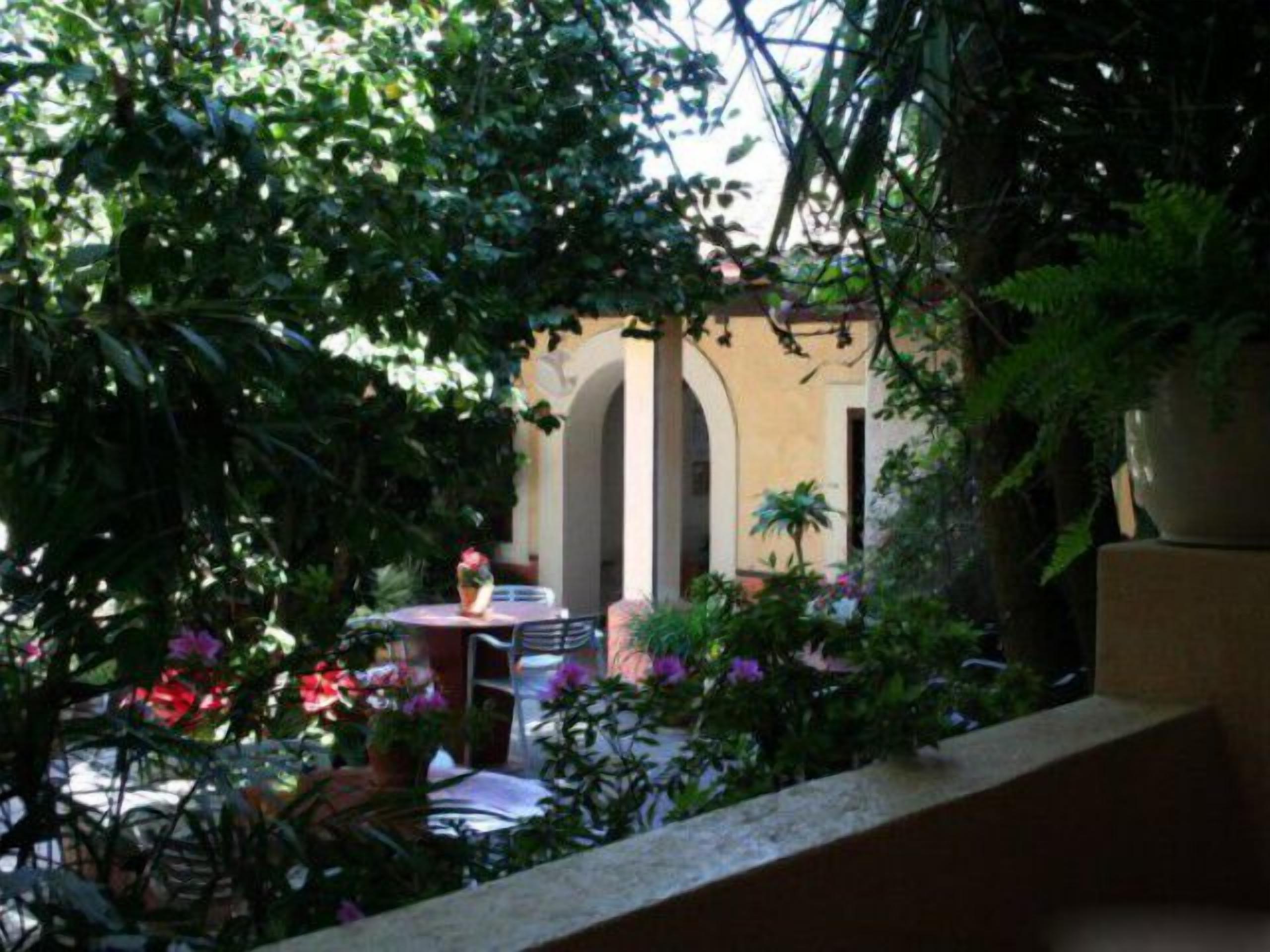 A patio area with a table and chairs, surrounded by lush greenery and potted plants.