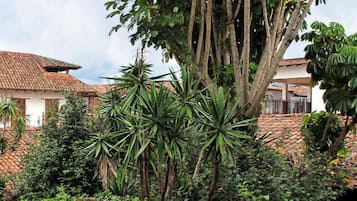 Vista desde la propiedad