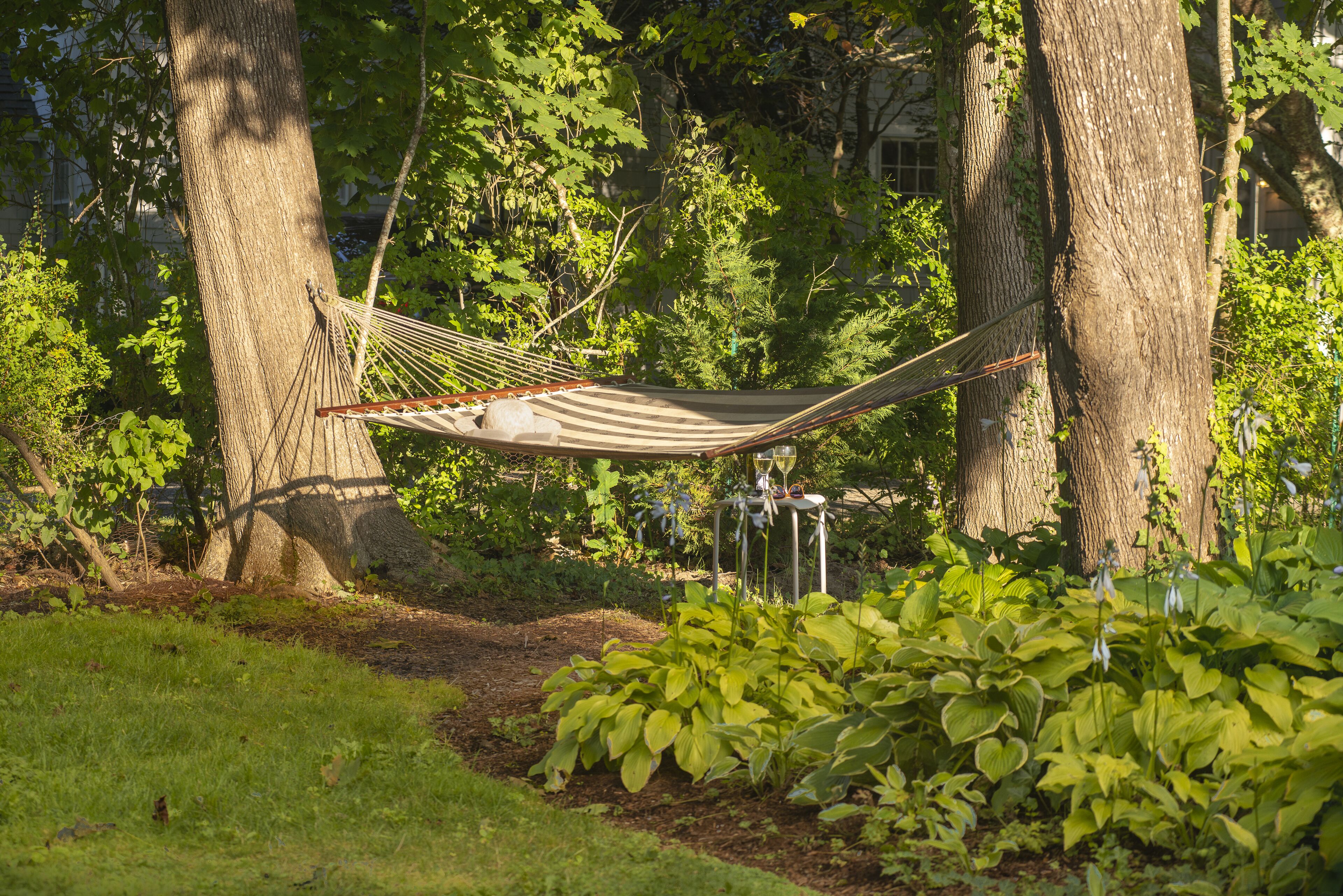 A hammock between trees in a garden with green foliage and a small table with a glass.