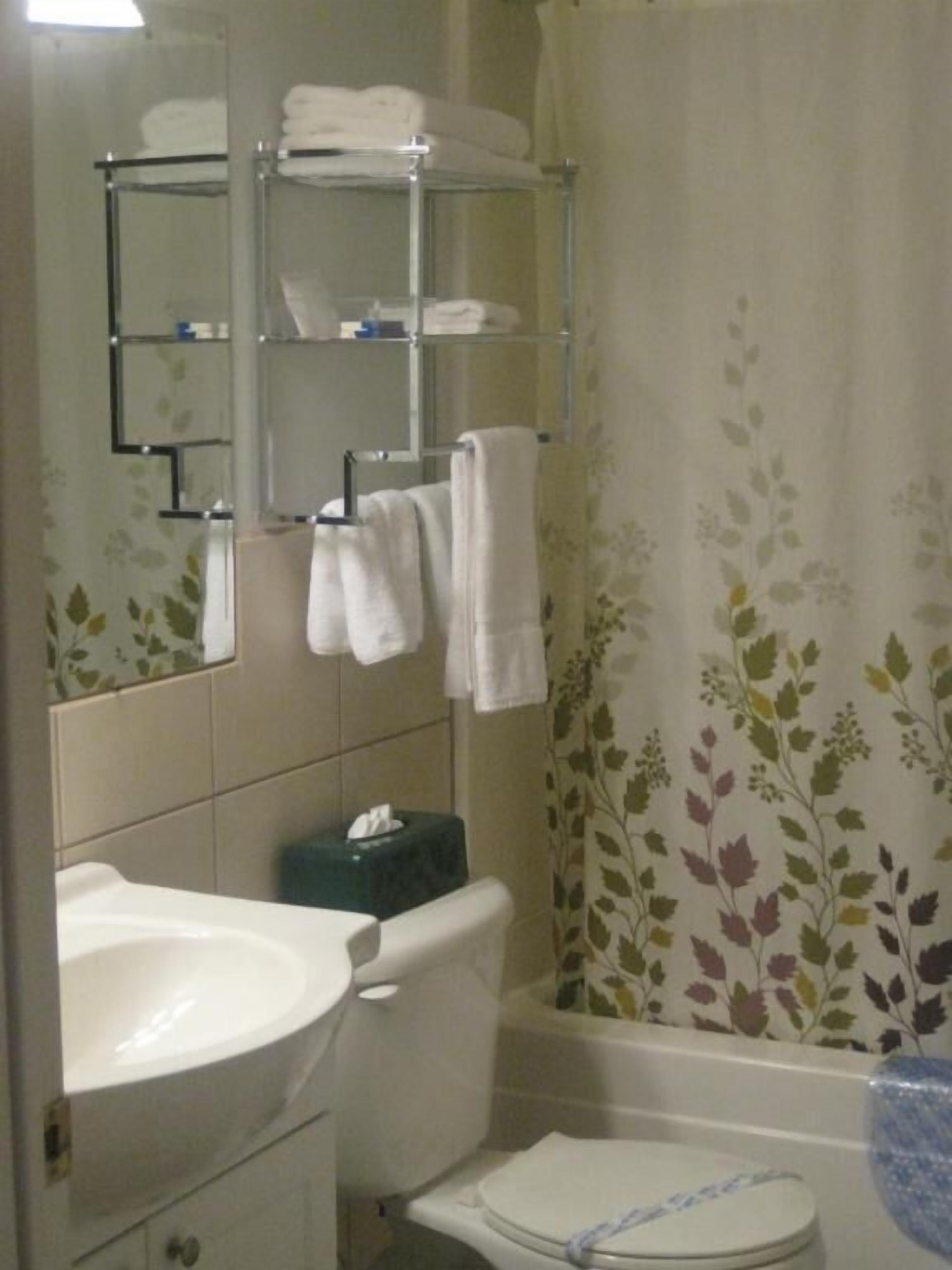 Un baño con inodoro, lavabo y repisas para toallas.