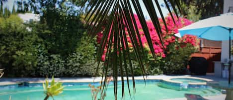 Outdoor pool, pool umbrellas, pool loungers