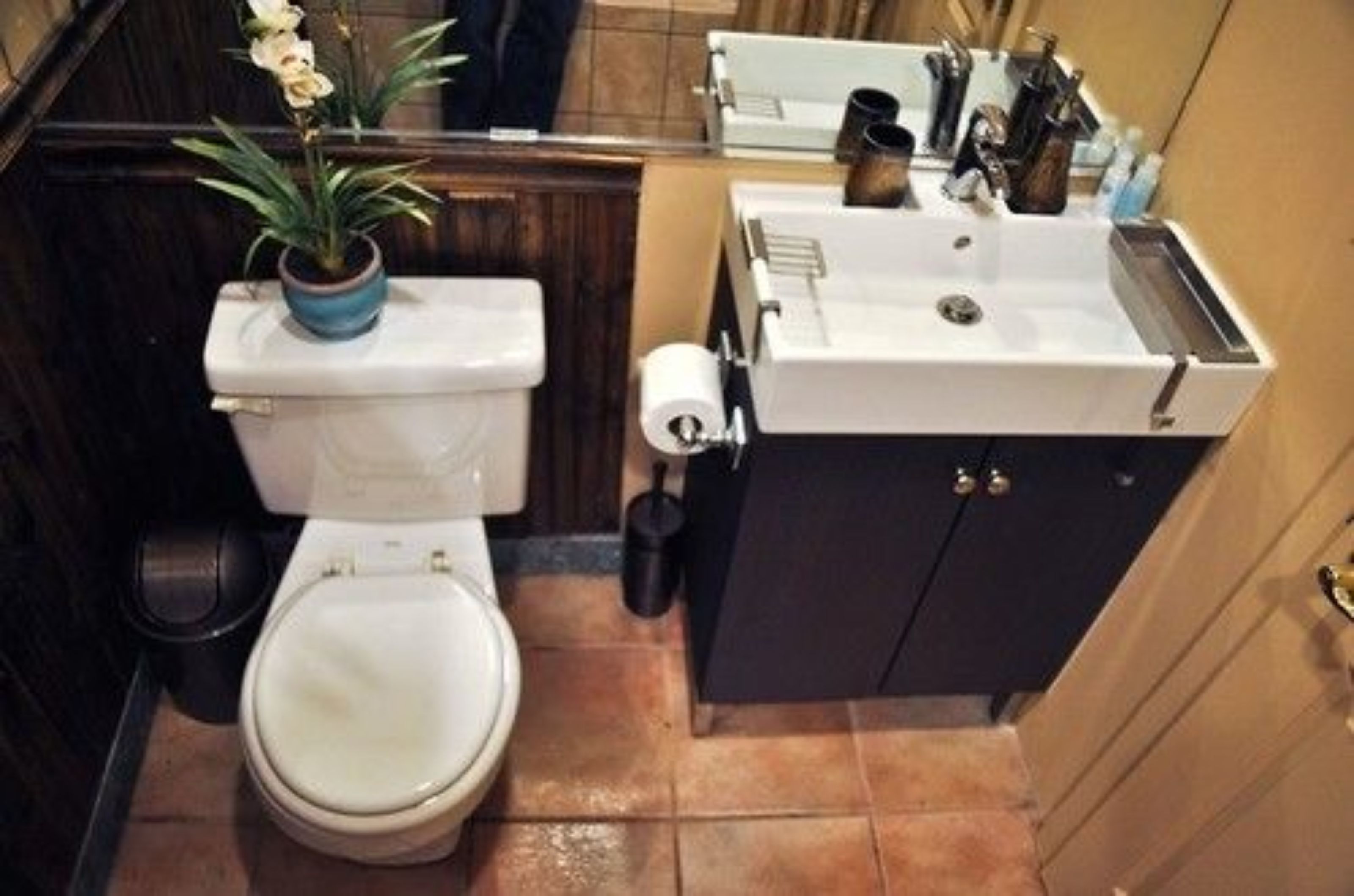 Une petite salle de bain comprenant des toilettes, un lavabo et une petite plante en pot.
