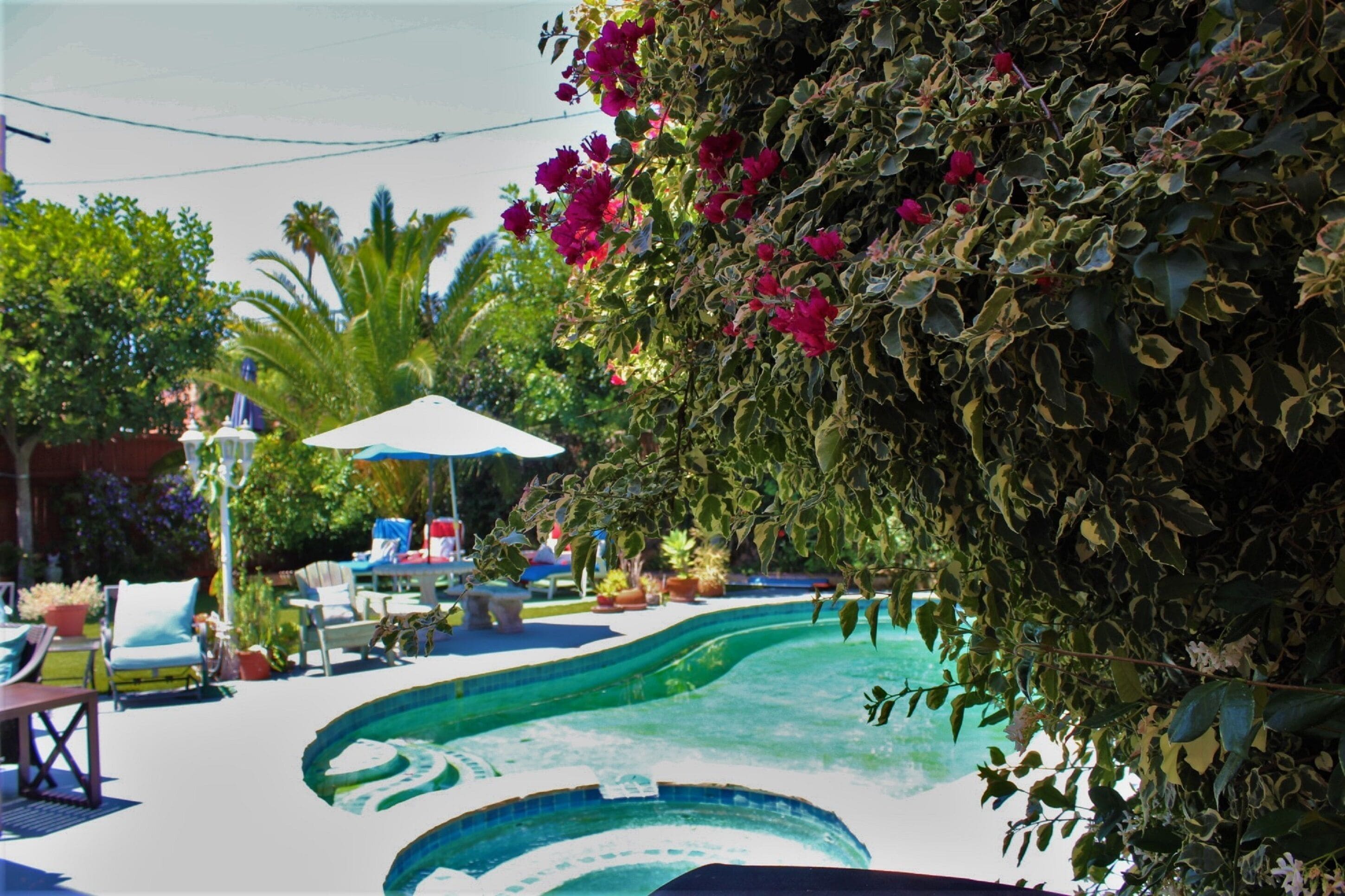 Outdoor pool, pool umbrellas, sun loungers