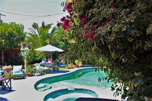 Outdoor pool, pool umbrellas, pool loungers