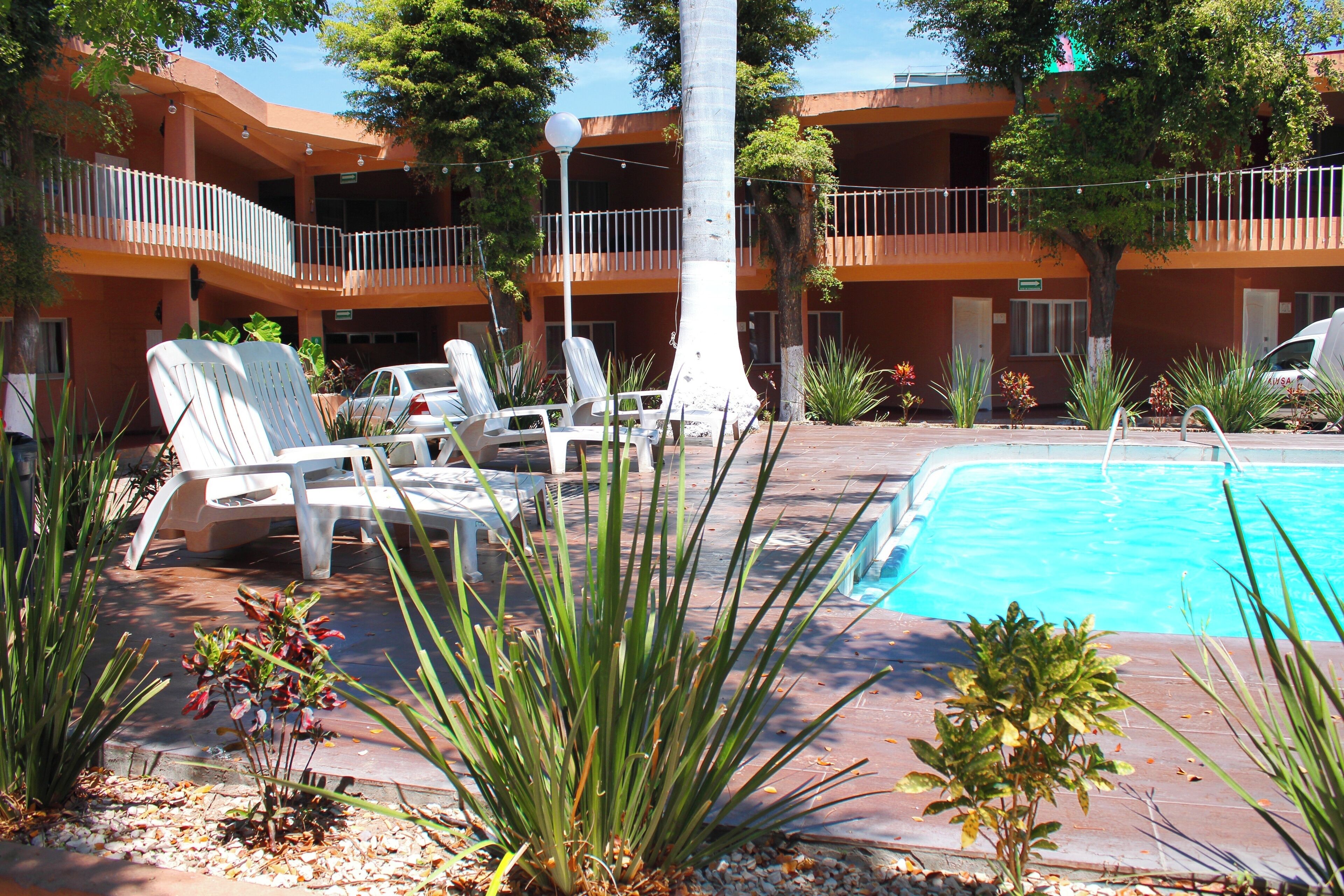 A hotel with a swimming pool, lounge chairs, and a palm tree.