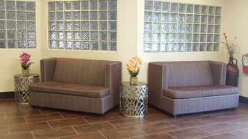 Dos sofás con cojines estampados, un jarrón decorativo con flores y un suelo de baldosas.
