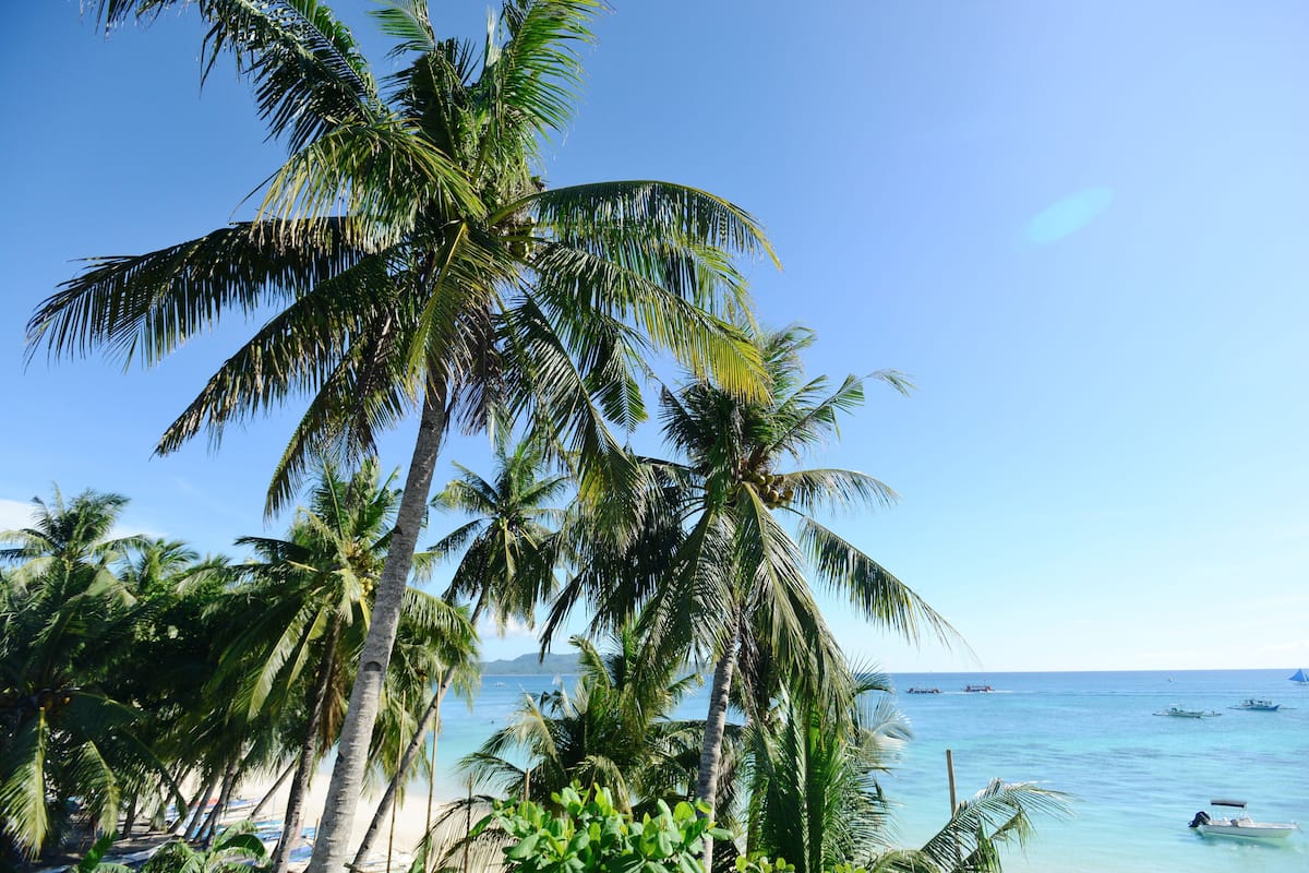 A beach with palm trees and boats in the water.
