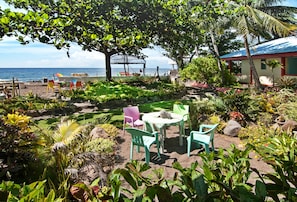 Jardí