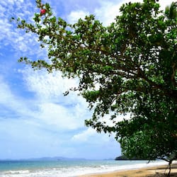 Beach nearby, beach towels