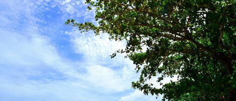 Beach nearby, beach towels