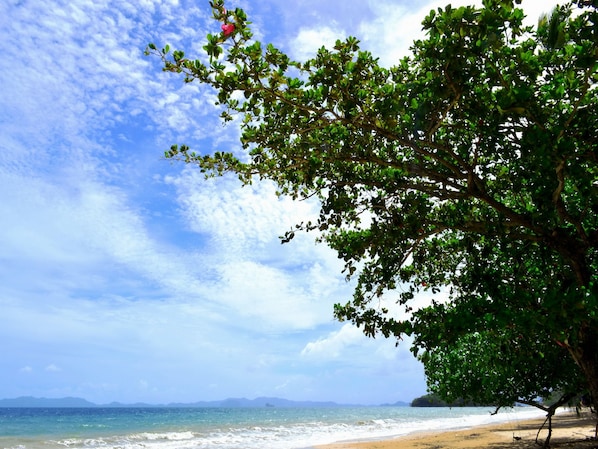 Beach nearby, beach towels - Klong Muang Sunset Hotel (Krabi)