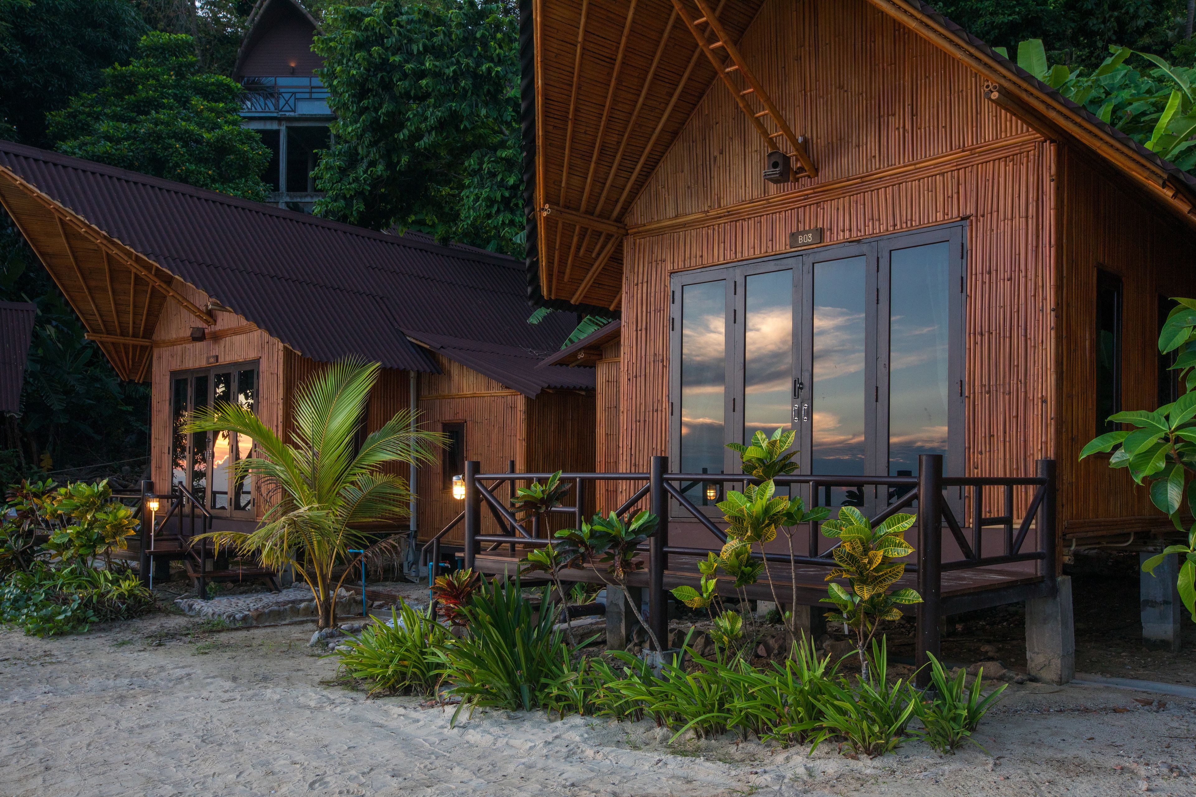 A wooden cabin with a large sliding door, surrounded by tropical plants and a sandy area.