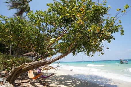 The Cove Phi Phi – Affordable hotel in Ko Phi Phi