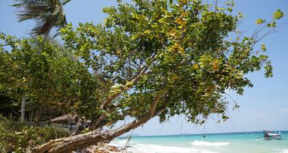 The Cove Phi Phi