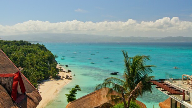 Une plage avec une vue dégagée sur une eau turquoise cristalline, un bâtiment à toit de chaume et un palmier.