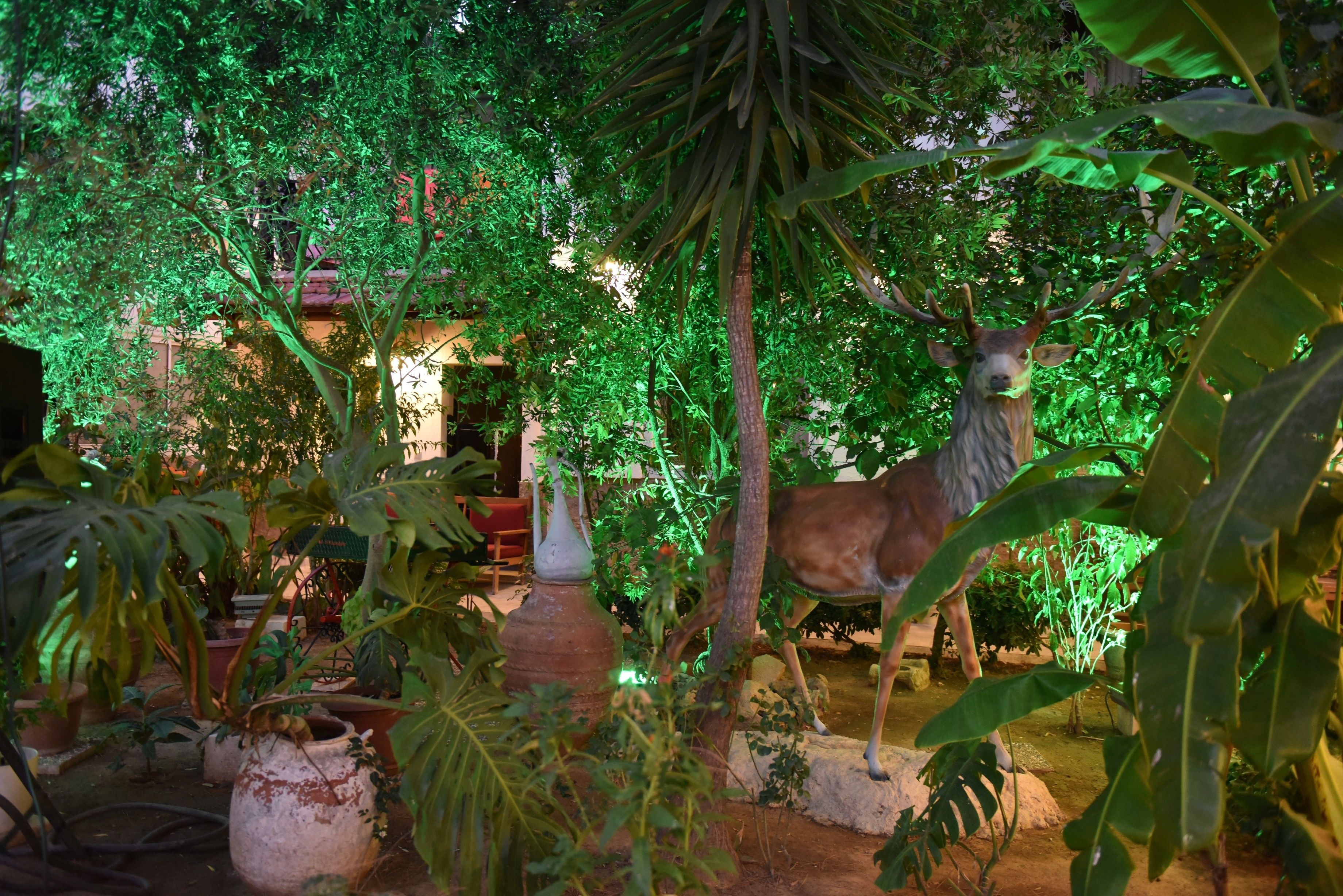 Foto - Istankoy Hotel