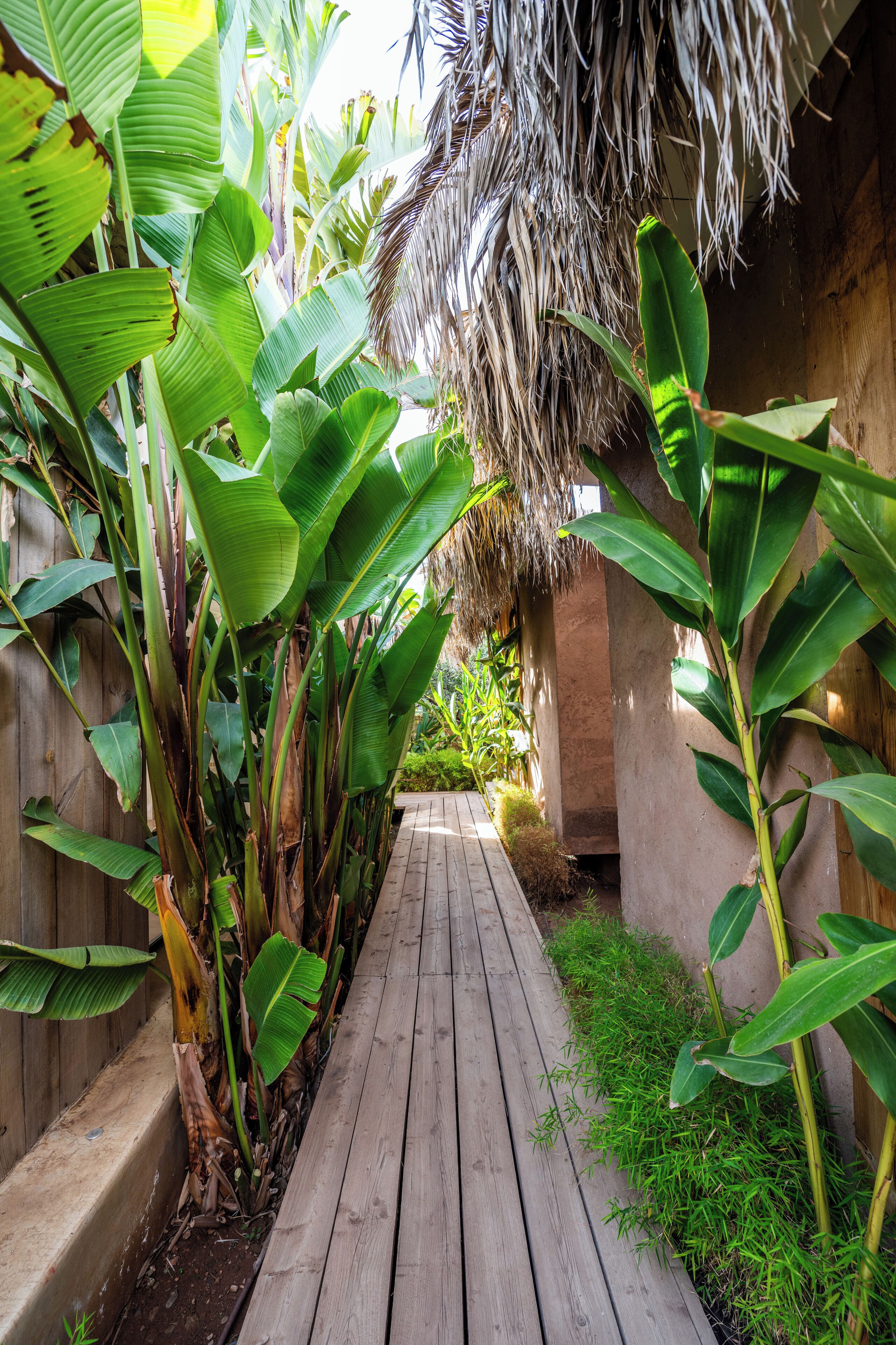 Standard Bungalow | Terrace/patio