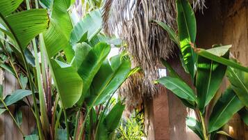 Standard Bungalow | Terrace/patio