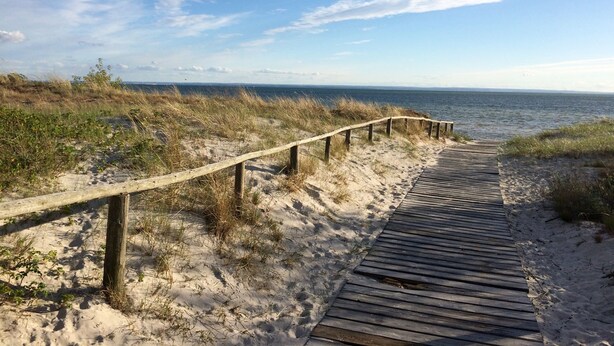 A wooden boardwalk leading to a beach with sand dunes and a clear sky. - Hotel Jastarnia (Jastarnia)