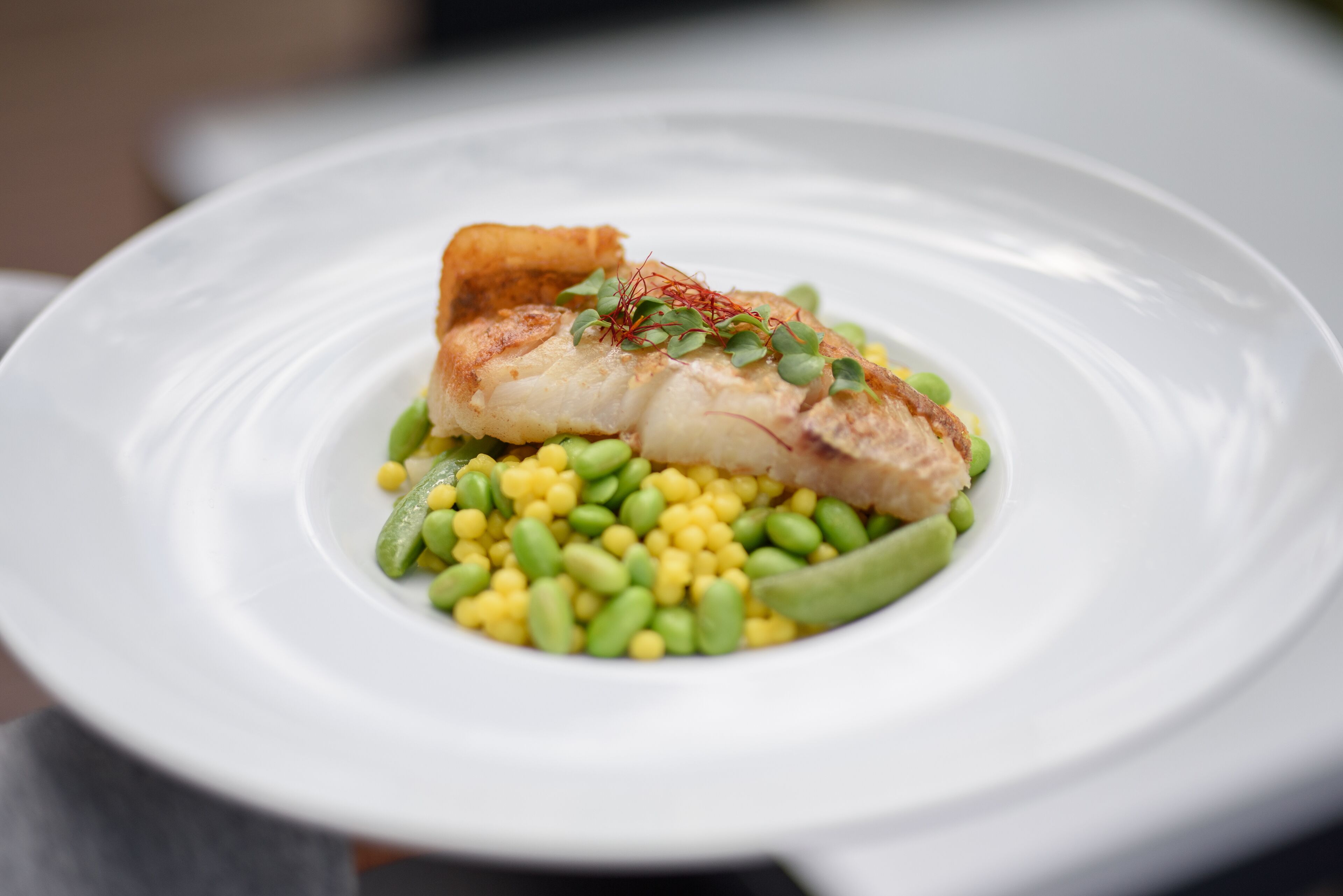 A white plate with a piece of fish, green beans, and corn.